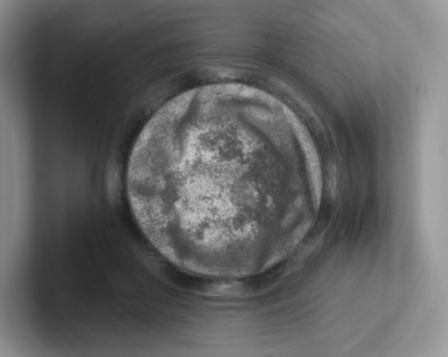 X0000101650410200808071119