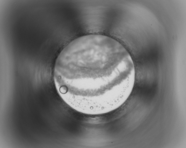 X0000101650411200808071119
