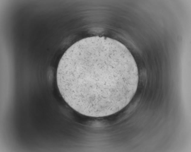 X0000101650412200808071119