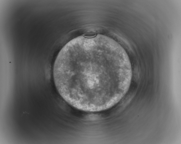 X0000101650413200808071119