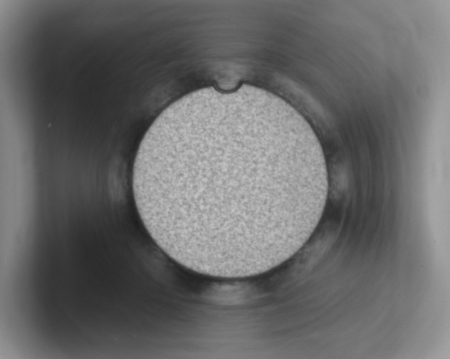 X0000101650414200808071119