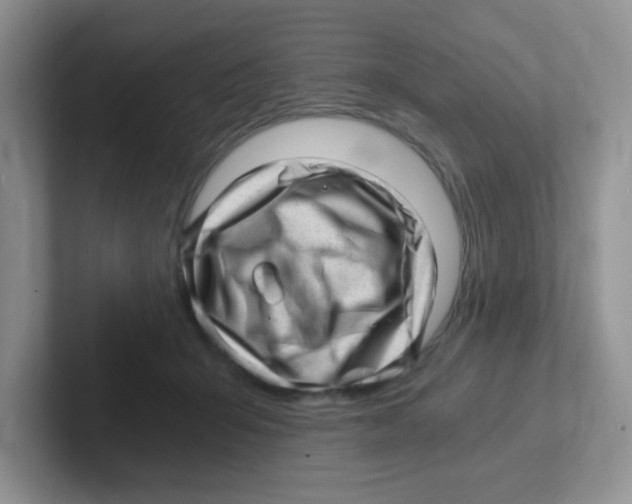 X0000101650415200808071119