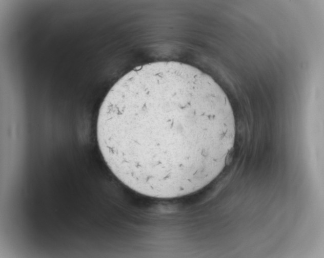 X0000101650416200808071119