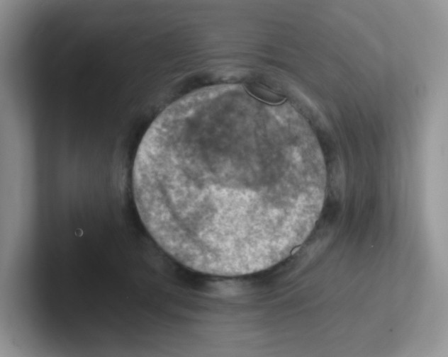 X0000101650417200808071119