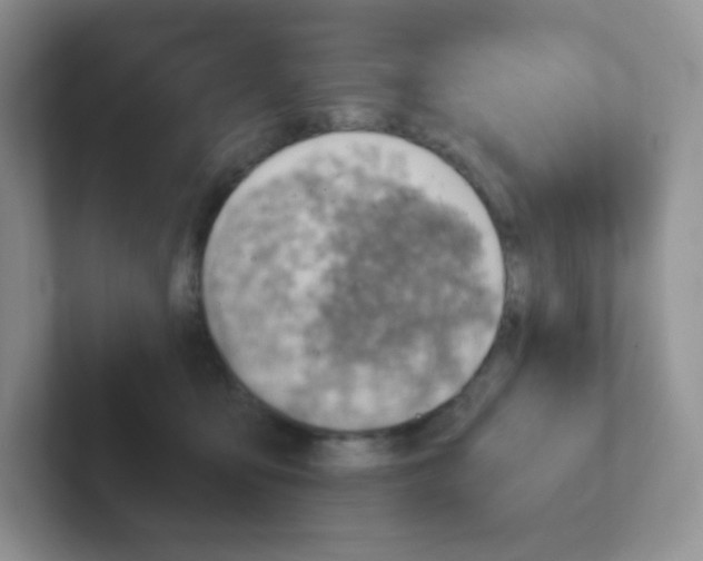 X0000101650419200808071119