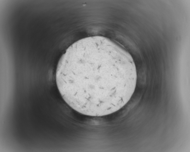X0000101650420200808071119