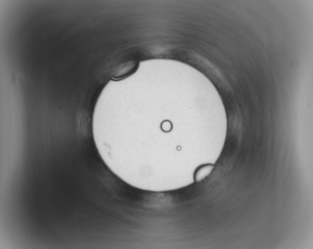 X0000101650421200808071119