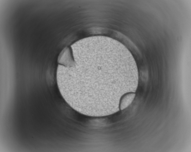X0000101650422200808071119