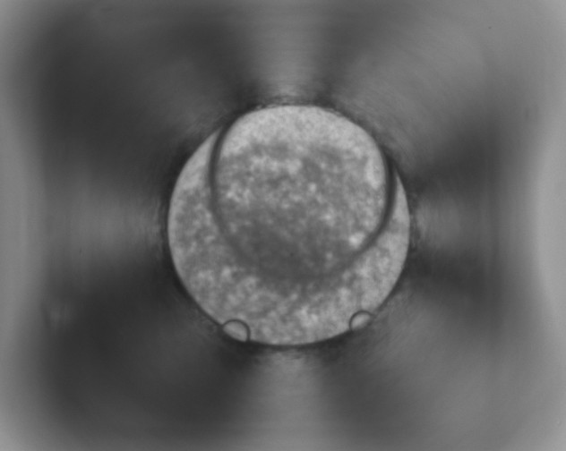 X0000101650423200808071119