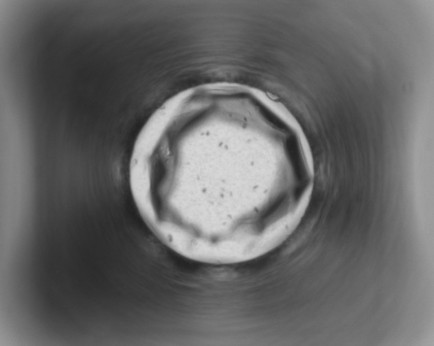 X0000101650424200808071118