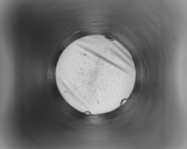 X0000101650425200808071118