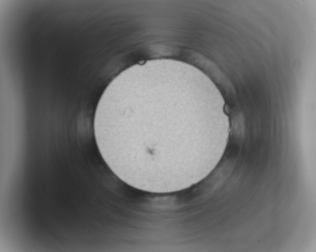 X0000101650426200808071118