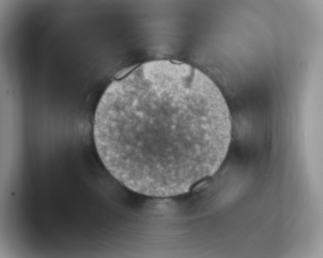 X0000101650427200808071118