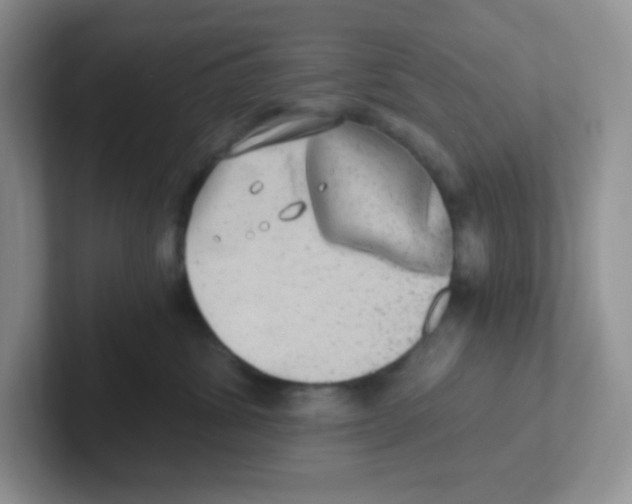 X0000101650428200808071118