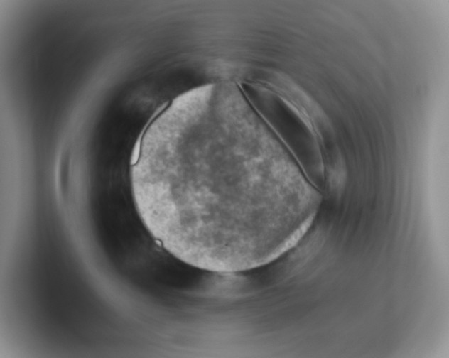 X0000101650429200808071118