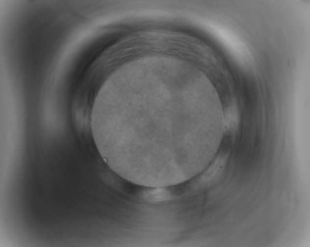 X0000101650431200808071118