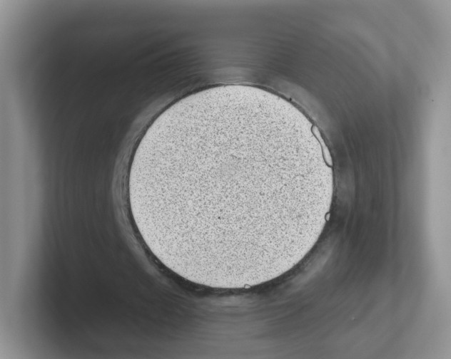 X0000101650433200808071118