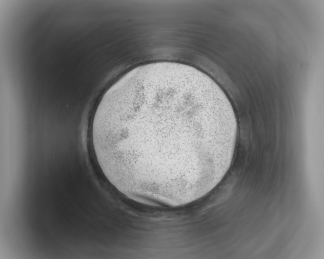 X0000101650434200808071118