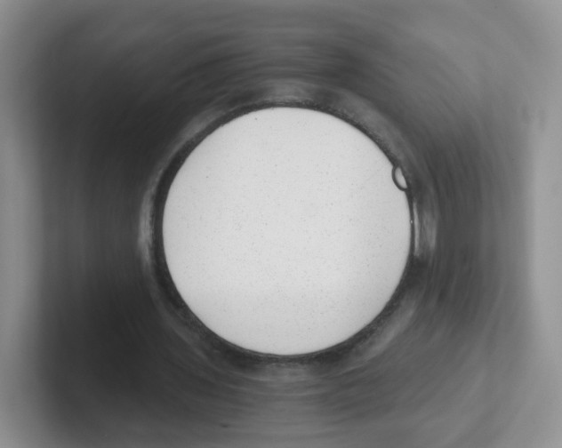 X0000101650435200808071118