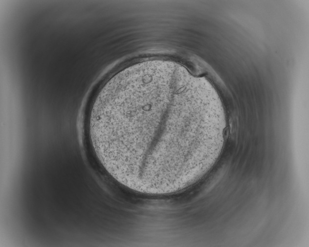X0000101650436200808071118