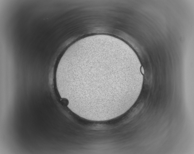 X0000101650437200808071118