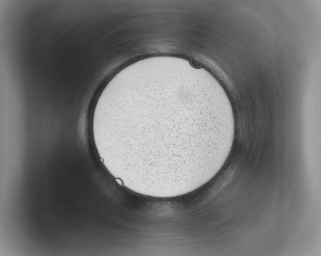 X0000101650439200808071118