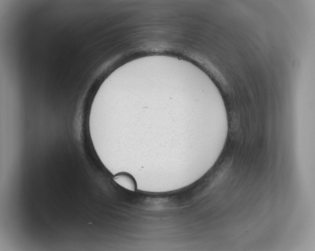 X0000101650440200808071118