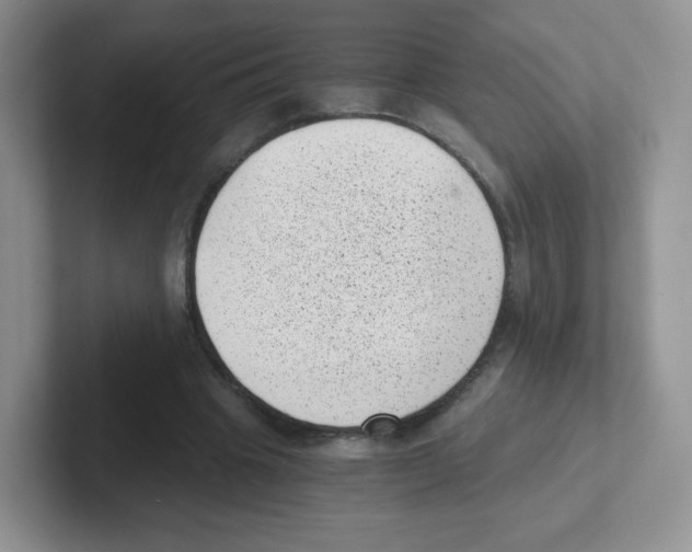 X0000101650441200808071118