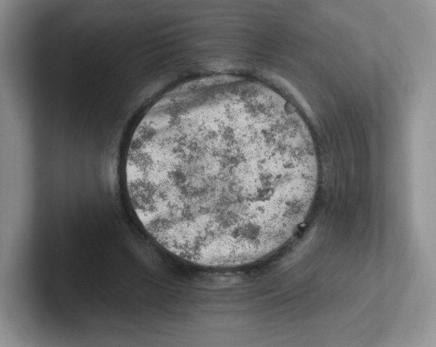 X0000101650443200808071118