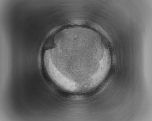 X0000101650444200808071118