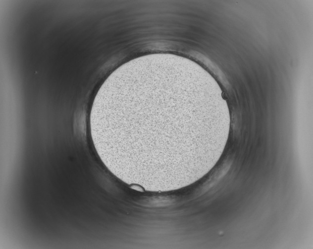 X0000101650445200808071118