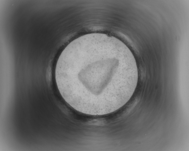 X0000101650447200808071118