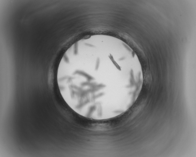 X0000101650448200808071118