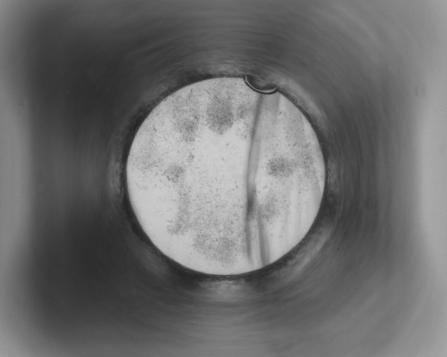 X0000101650449200808071118