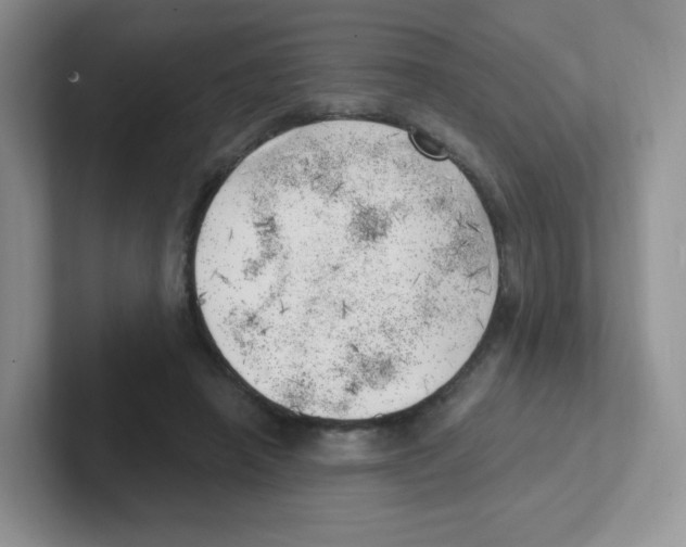 X0000101650450200808071118