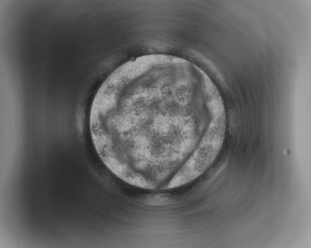 X0000101650451200808071118
