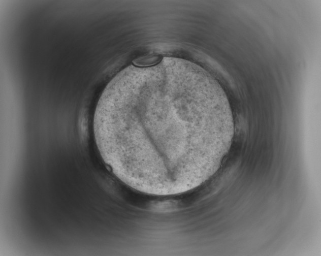 X0000101650452200808071118