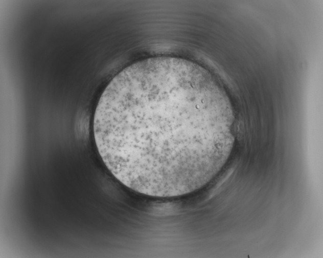 X0000101650454200808071118