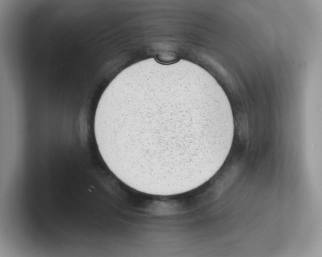 X0000101650455200808071118