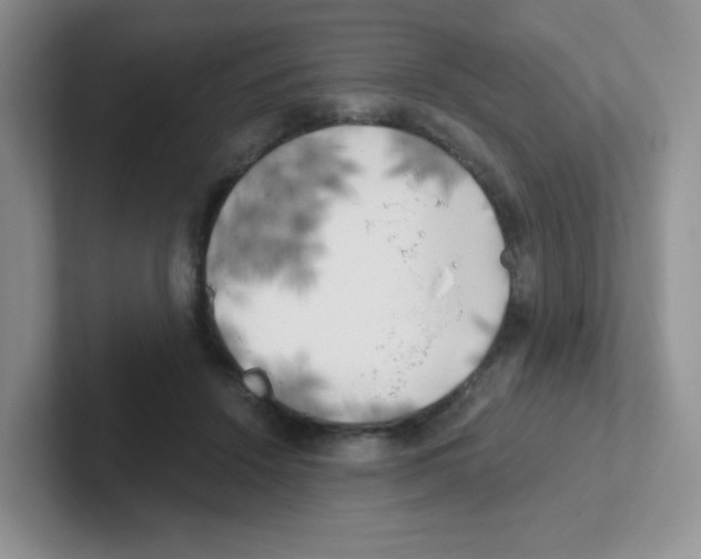 X0000101650456200808071118