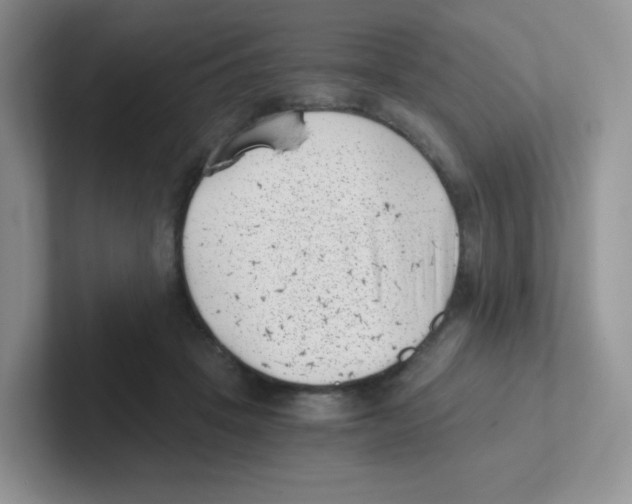 X0000101650457200808071118