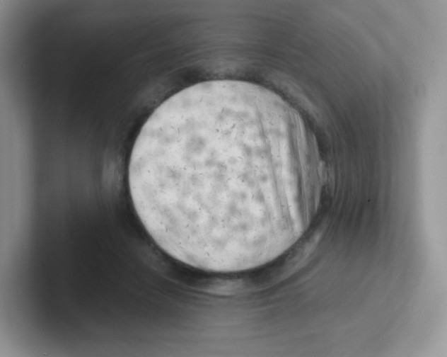 X0000101650458200808071118