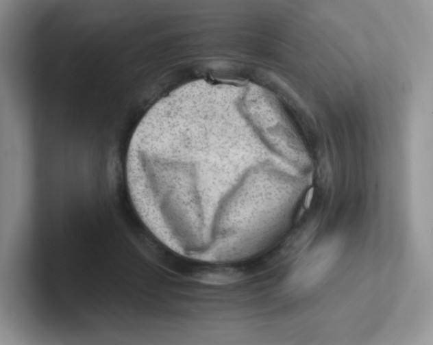 X0000101650459200808071118