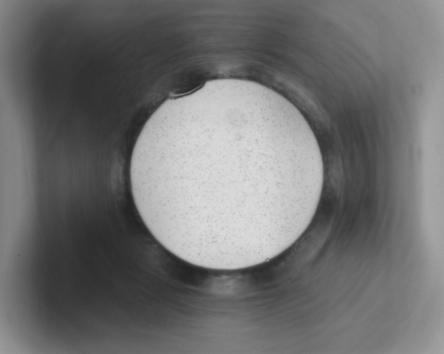 X0000101650461200808071118