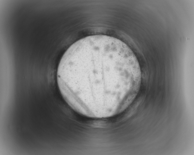 X0000101650462200808071118