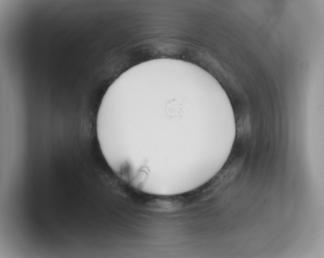 X0000101650464200808071118