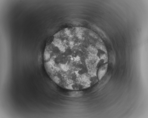 X0000101650465200808071118