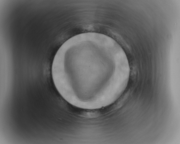 X0000101650466200808071118