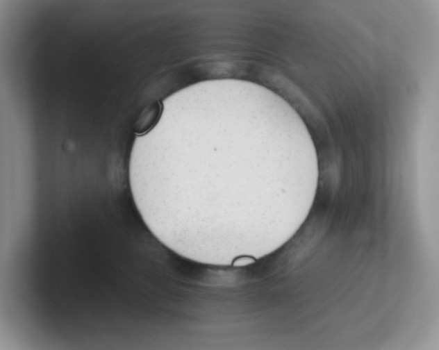 X0000101650469200808071118