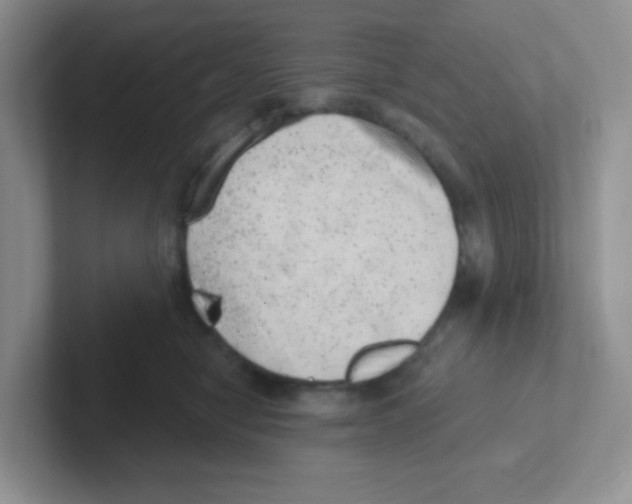 X0000101650470200808071118